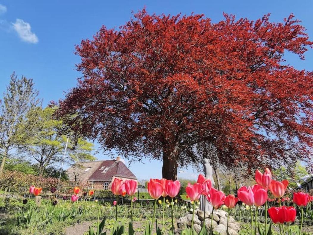 B&B Klassiek Twijzelerheide Zewnętrze zdjęcie